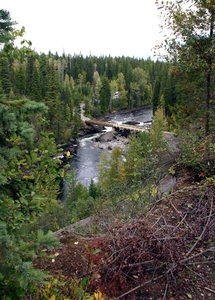 Wells Gray Park - op weg naar Dawson falls