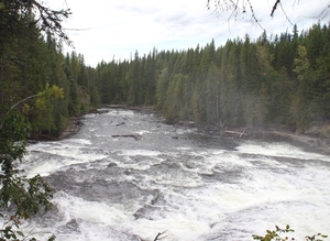 Wells Gray Park - Dawson Falls