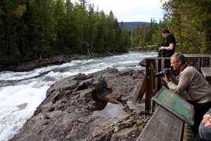 Bailey's Chute - proberen springende zalm te fotograferen