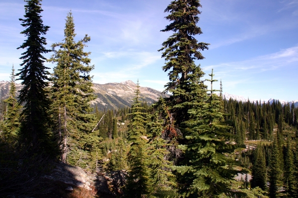 Mount Revelstoke National Park