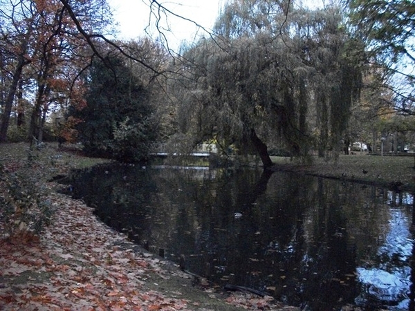 027-Vijvers in Frans Tochtpark