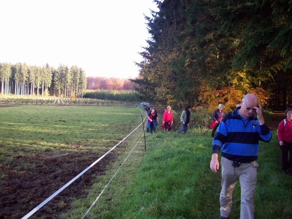 Herfst 2011 (15)