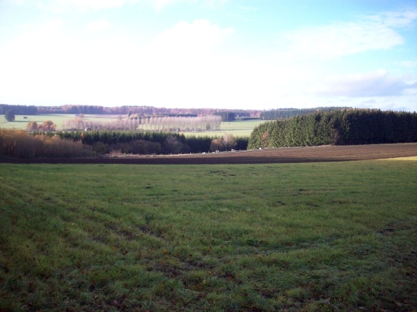 Herfst 2011 (16)