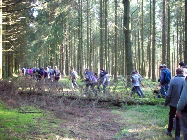 Herfst 2011 (2)