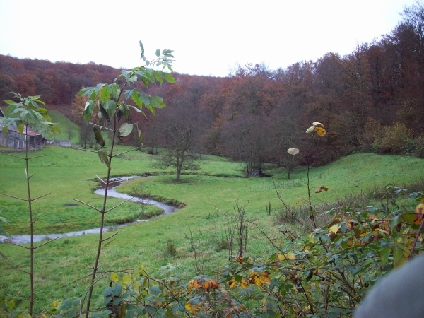 Herfst 2011 (26)