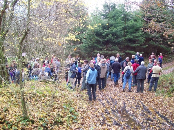 Herfst 2011 (27)