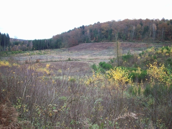 Herfst 2011 (28)