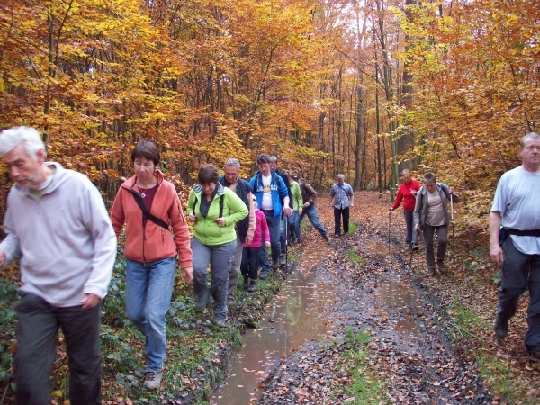Herfst 2011 (8)