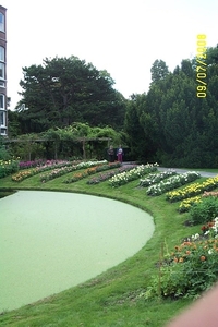 dcp_0020