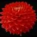 Avaco-Cherokee-web