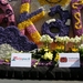 bloemencorso Lisse 2008