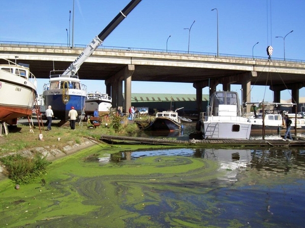 Uit het water in 2011