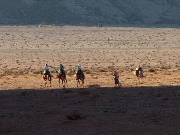 wadi rum jordanie trekking kamelen