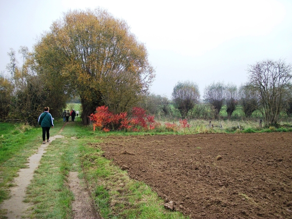 029-Lendrikwandelpad