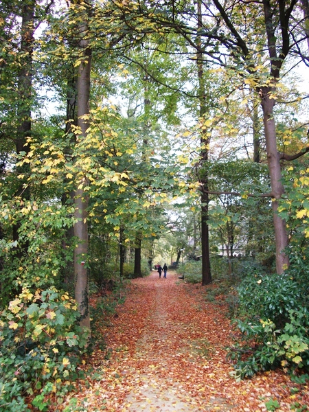 113-Prinsenbos-Grimbergen