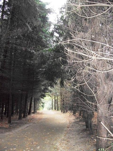 023-Tangebeekbos-Vilvoorde