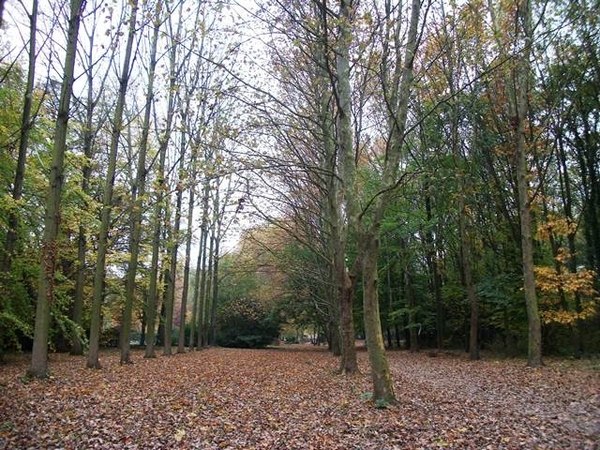 040-Park in Vilvoorde