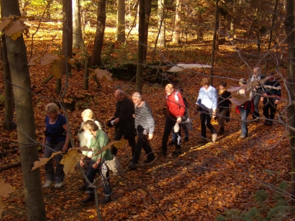 2011-11-05 KKT Leuven en Holsbeek 029