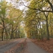 2011-10-29 Fietstochtje herfst (1)