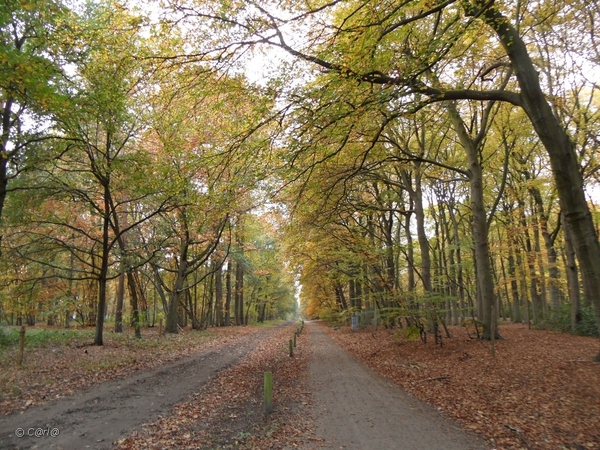 2011-10-29 Fietstochtje herfst (1)