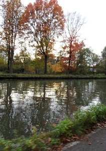 2011-10-29 Fietstochtje herfst (10)