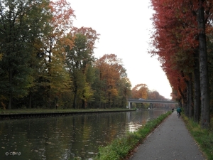 2011-10-29 Fietstochtje herfst (17)