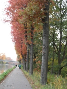 2011-10-29 Fietstochtje herfst (18)