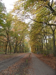 2011-10-29 Fietstochtje herfst (2)