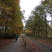 2011-10-29 Fietstochtje herfst (3)