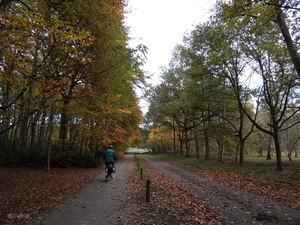 2011-10-29 Fietstochtje herfst (3)