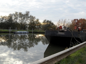 2011-10-29 Fietstochtje herfst (32)