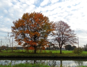 2011-10-29 Fietstochtje herfst (33)