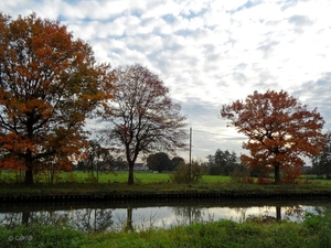 2011-10-29 Fietstochtje herfst (34)