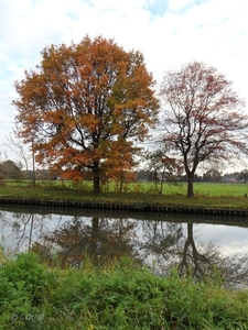 2011-10-29 Fietstochtje herfst (35)