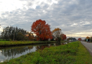 2011-10-29 Fietstochtje herfst (36)