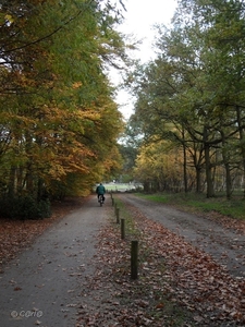 2011-10-29 Fietstochtje herfst (4)