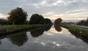 2011-10-29 Fietstochtje herfst (40)