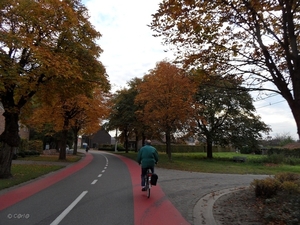 2011-10-29 Fietstochtje herfst (41)