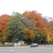 2011-10-29 Fietstochtje herfst (43)