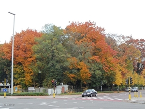 2011-10-29 Fietstochtje herfst (43)