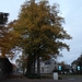 2011-10-29 Fietstochtje herfst (48)