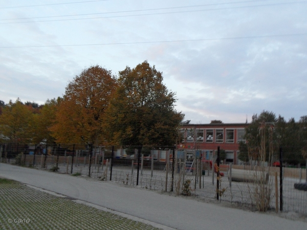 2011-10-29 Fietstochtje herfst (49)