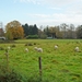 2011-10-29 Fietstochtje herfst (5)