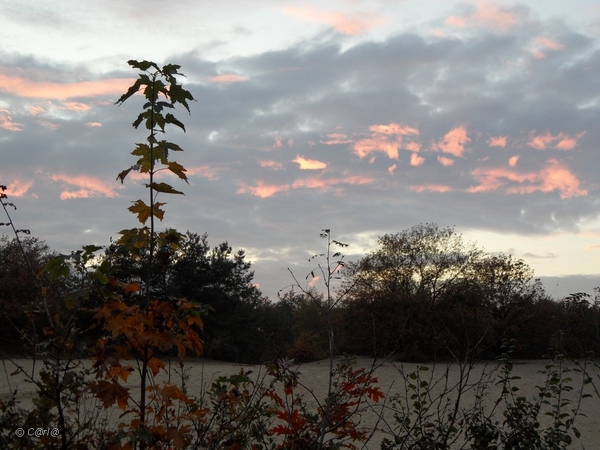 2011-10-29 Fietstochtje herfst (50)