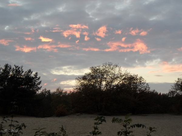 2011-10-29 Fietstochtje herfst (51)