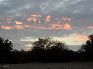 2011-10-29 Fietstochtje herfst (52)