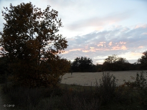 2011-10-29 Fietstochtje herfst (53)