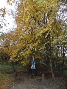 2011-10-29 Fietstochtje herfst (58)