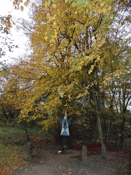 2011-10-29 Fietstochtje herfst (58)