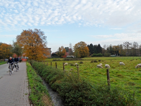 2011-10-29 Fietstochtje herfst (6)